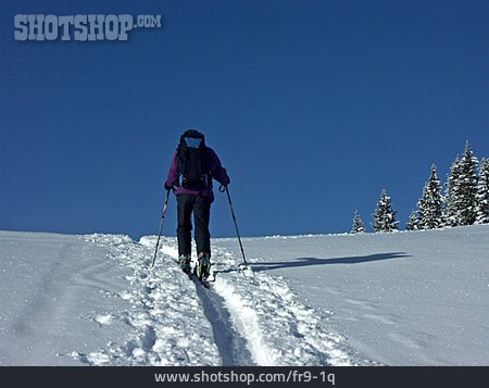 
                Schnee, Skifahrer, Skilanglauf                   