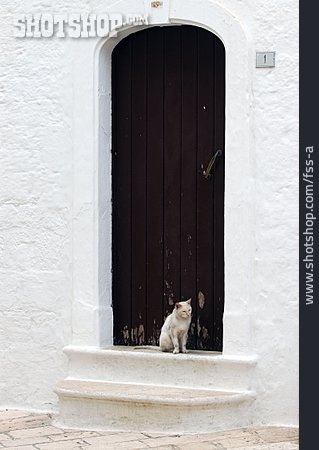 
                Katze, Tür                   