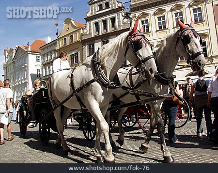 
                Pferde, Passanten, Prag, Kutsche                   