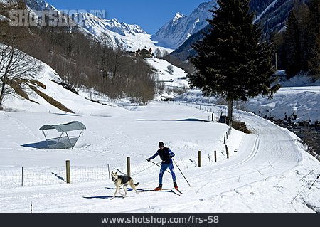 
                Skifahrer, Skilanglauf                   