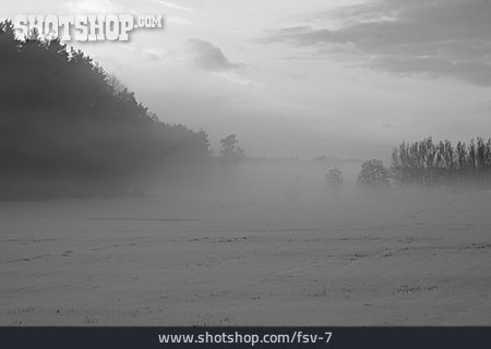 
                Feld, Nebel                   