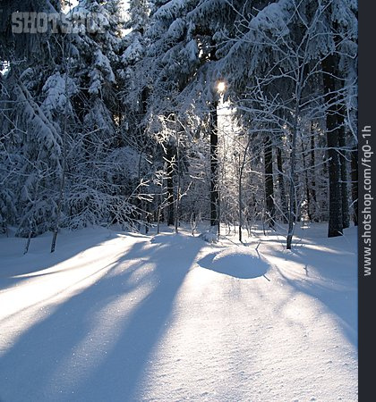 
                Wald, Winterlandschaft, Schnee                   