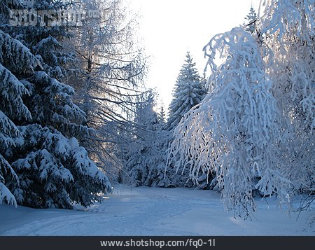 
                Winterlandschaft, Schnee                   