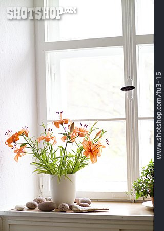 
                Blumen, Fenster, Vase                   
