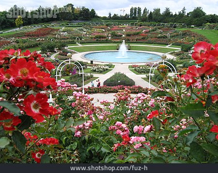 
                Park, Gartenkunst, Rosengarten                   
