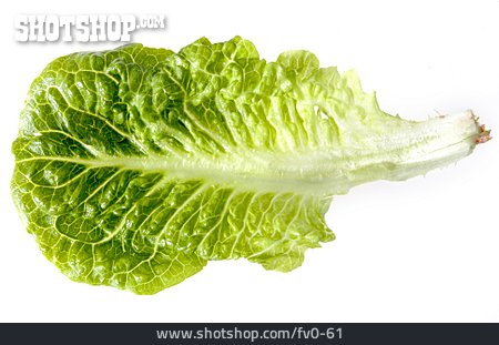 
                Grün, Salatblatt                   