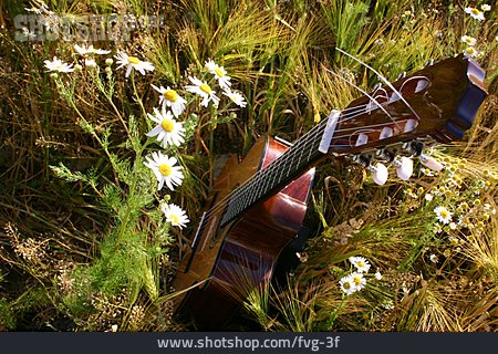 
                Wiese, Gitarre                   