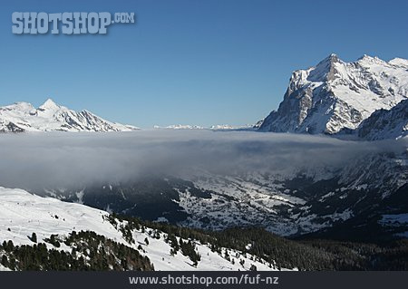 
                Landschaft, Winter, Hochnebel                   