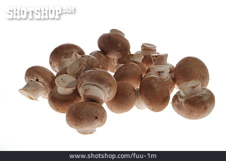 
                Haufen, Champignon                   