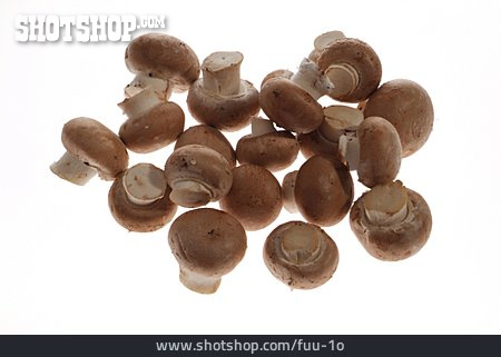 
                Champignon                   