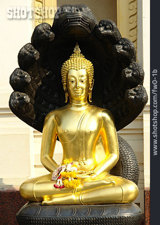 
                Buddhismus, Figur, Buddha                   