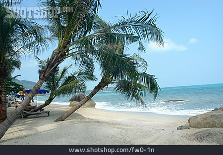 
                Strand, Palmen, Thailand                   