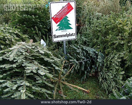 
                Weihnachten, Schild, Weihnachtsbaum, Sammelplatz                   