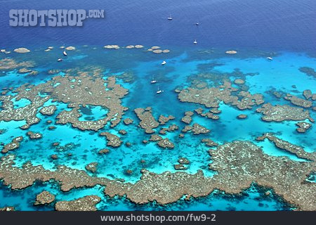 
                Korallenriff, Riff, Great Barrier Reef                   