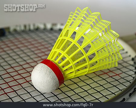 
                Schläger, Badminton, Federball                   