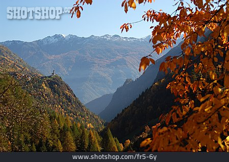 
                Wald, Gebirge, Herbst                   