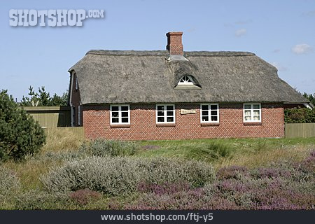 
                Haus, Dänemark, Reetdach                   