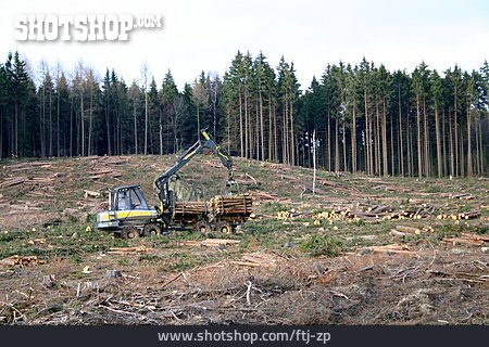 
                Holzwirtschaft, Waldarbeit                   