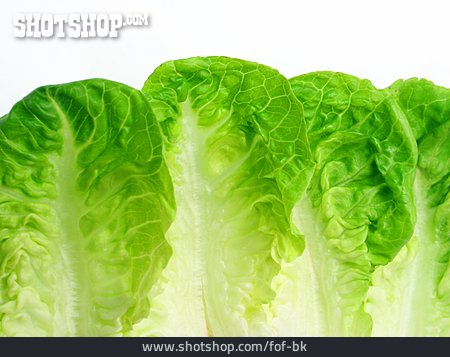 
                Salat, Salatblätter, Kopfsalat                   