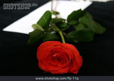 
                Rose, Romantik, Liebesbrief                   