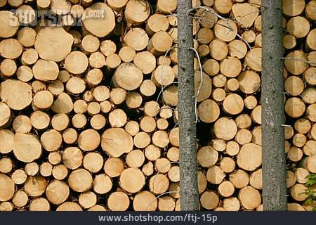 
                Holz, Material, Holzstapel                   