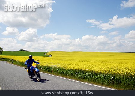 
                Straße, Rapsfeld, Motorradfahrer                   