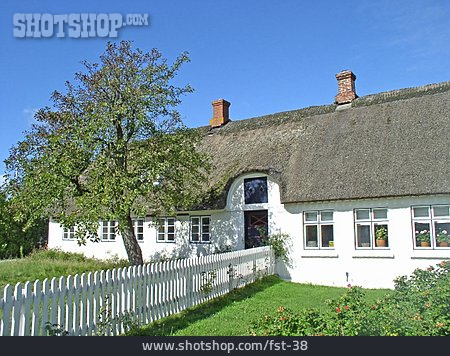 
                Haus, Landhaus, Dänemark, Reetdach                   