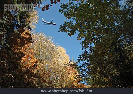 
                Baum, Flugzeug                   