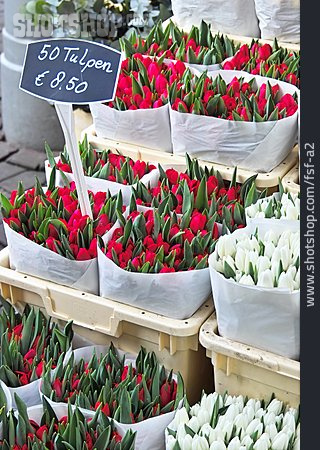 
                Tulpe, Marktstand, Verkauf                   