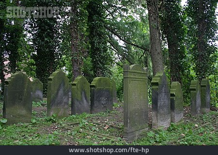 
                Friedhof, Grabstein, Verwildert                   