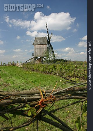 
                Windmühle, Detmold                   