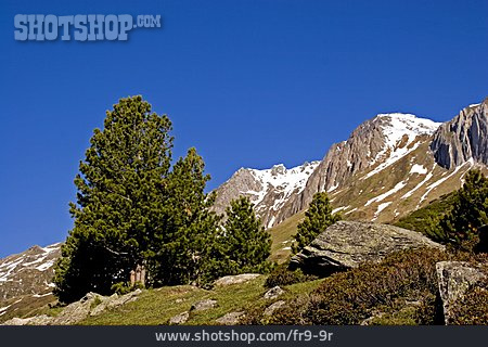 
                Berg, Südtirol, Hang                   