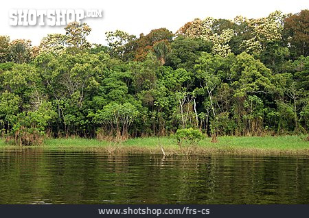 
                Fluss, Amazonas, Regenwald                   