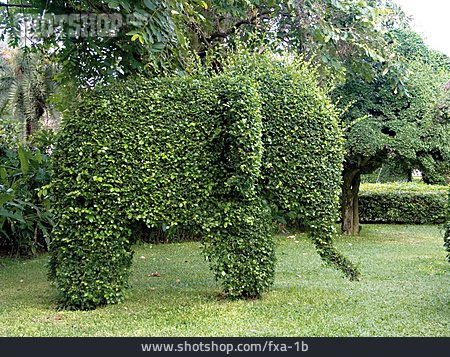 
                Park, Elefant, Gartenkunst                   