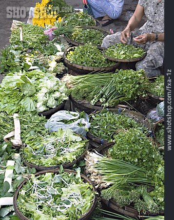 
                Gemüse, Kräuter, Salat, Markt                   