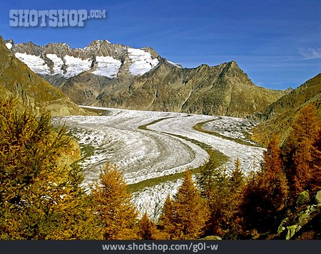 
                Gletscher, Schweiz, Aletschgletscher                   