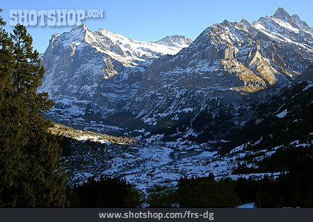 
                Schweiz, Schreckhorn, Berner Alpen                   