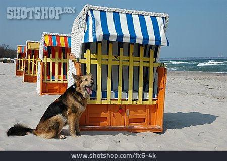 
                Humor & Skurril, Hund, Strandkorb, Hundestrand                   