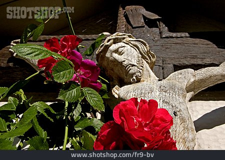 
                Rose, Jesus, Holzkreuz                   