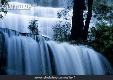 
                Wasserfall, Russell Falls                   