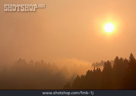 
                Sonne, Sonnenaufgang, Wald, Nebel                   