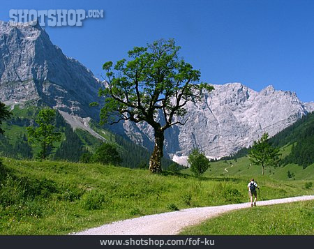 
                Wanderweg, Karwendel, Bergwanderer                   