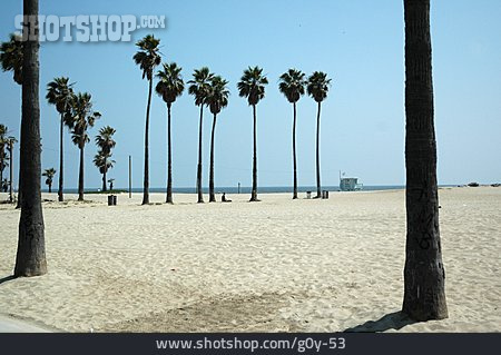 
                Strand, Palme, Los Angeles                   