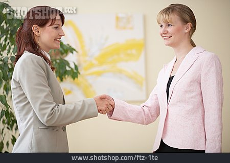 
                Geschäftsfrau, Handschlag, Vereinbarung                   