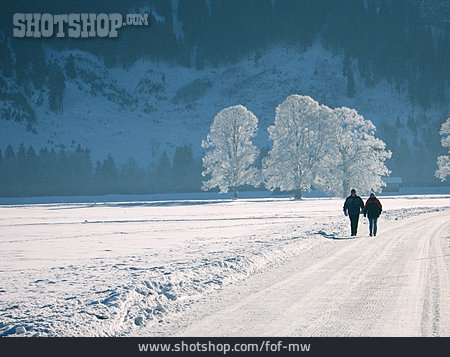 
                Winterlandschaft, Spaziergang                   