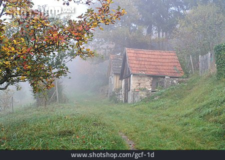 
                Herbst, Nebel, Hütte, Ast                   