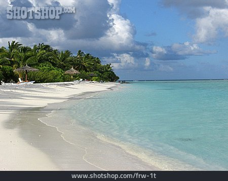 
                Strand, Palme, Malediven                   