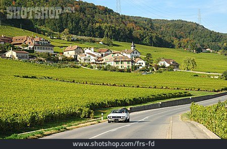
                Weinbau, Schweiz, Waadt                   