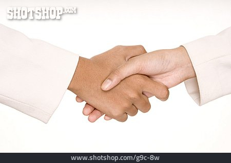 
                Frau, Handschlag, Partnerschaft                   