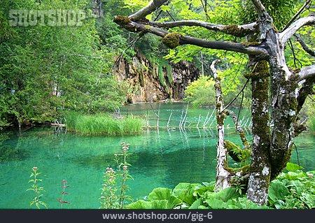 
                Kroatien, Plitvicer Seen                   